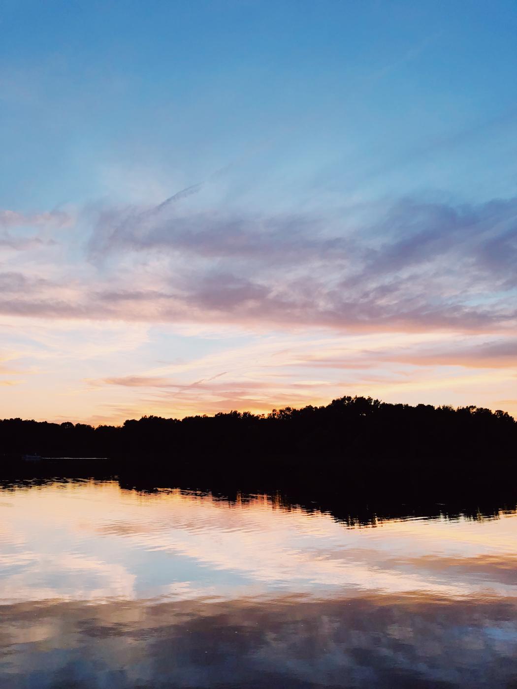 2019: A Year In Review at Home