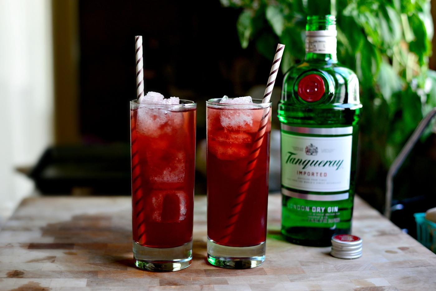 Home Kitchen Pomegranate Gin and Tonic
