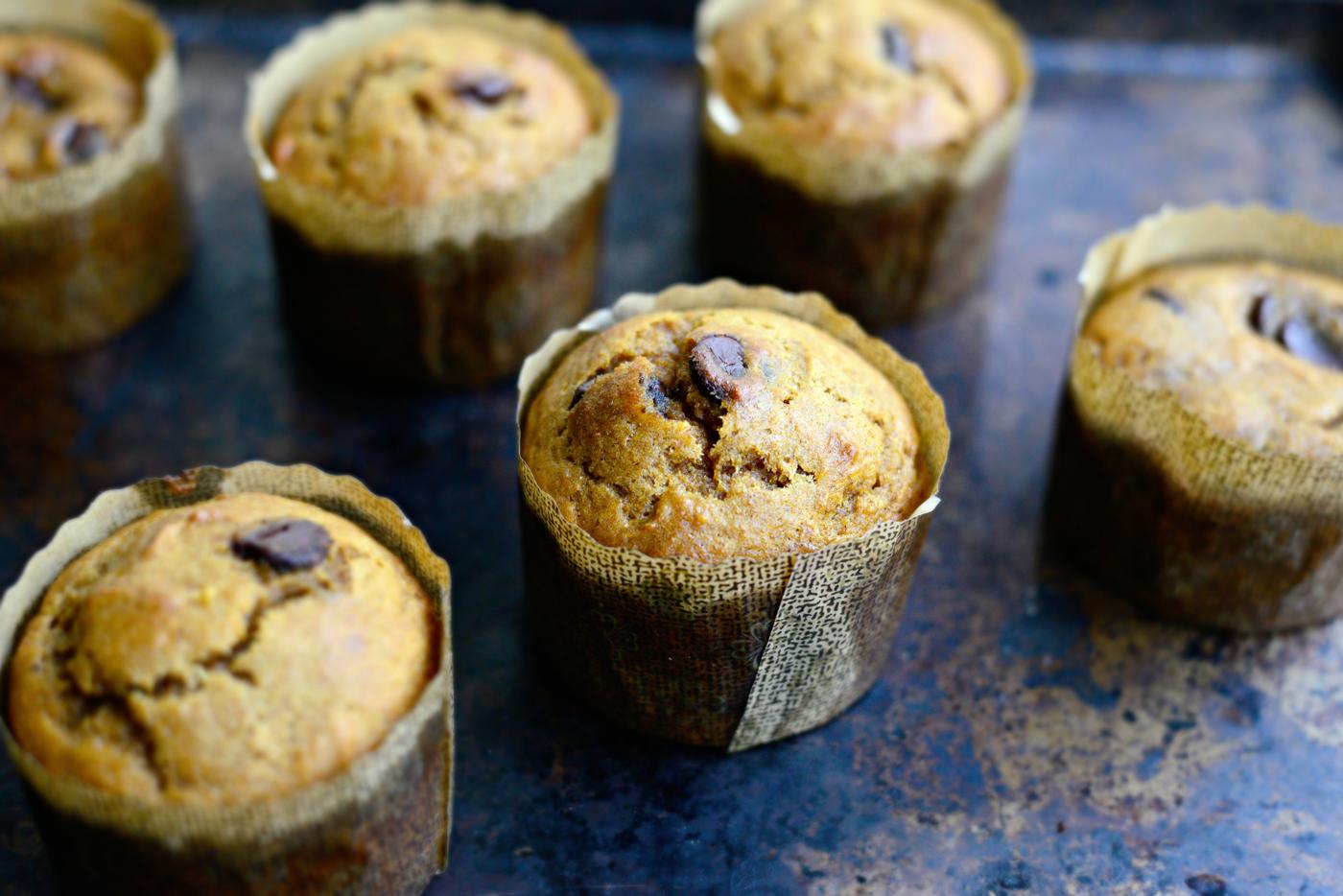 Dark Chocolate Chip Muffins, Pumpkin Style