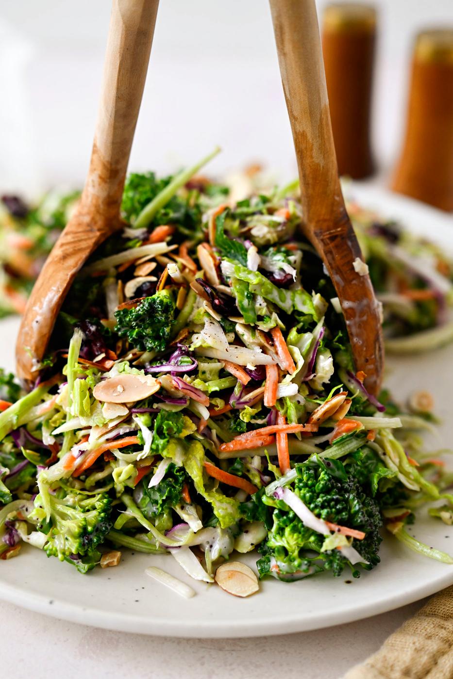 Food Broccoli Slaw, Especially Style