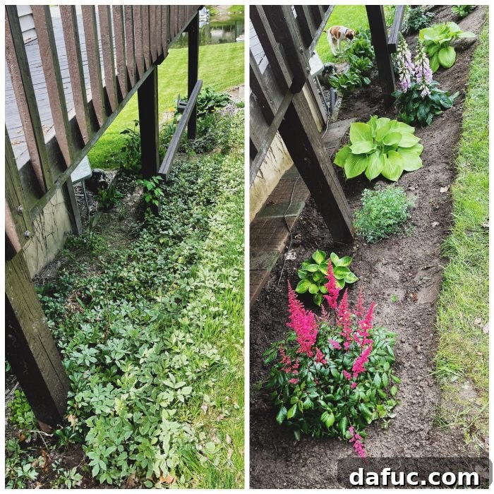 Unpacking 2022 16 Before and after garden renovation under deck