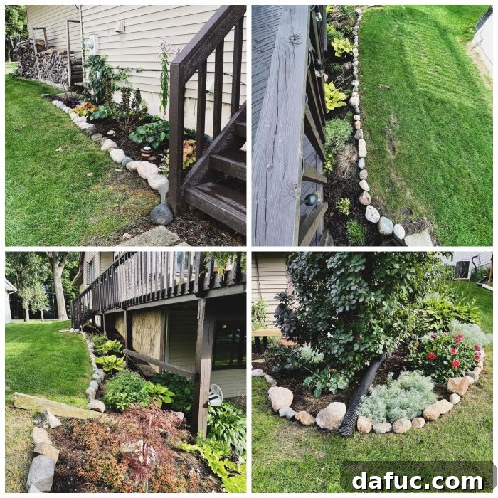 Unpacking 2022 17 Newly landscaped garden with various plants
