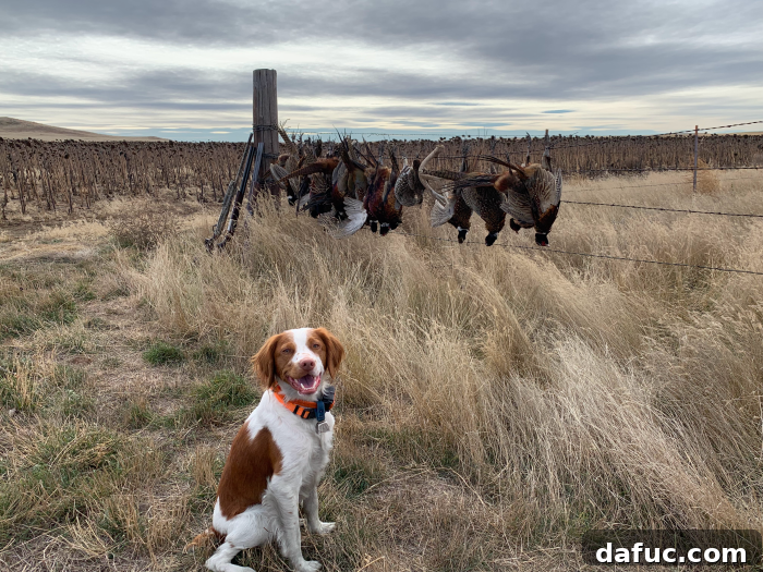 Unpacking 2022 36 Finn on his annual pheasant hunting trip