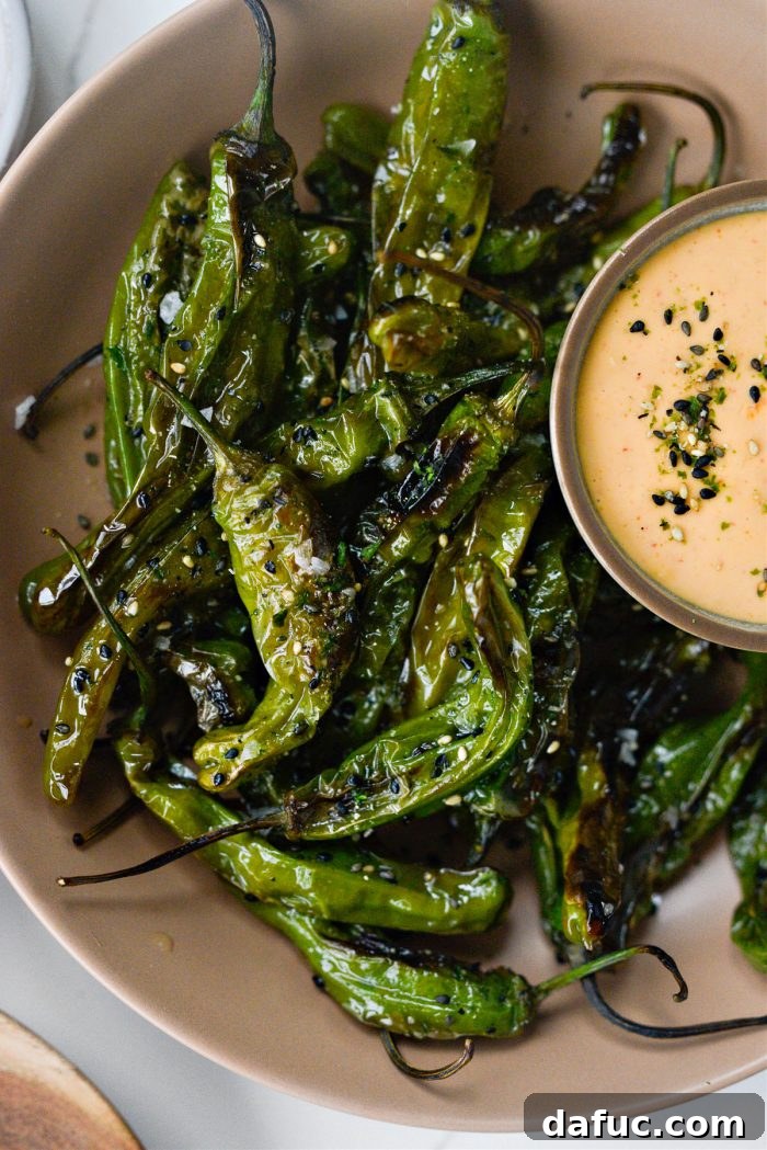 A vibrant bowl of Furikake Blistered Shishito Peppers with a side of spicy garlic aioli