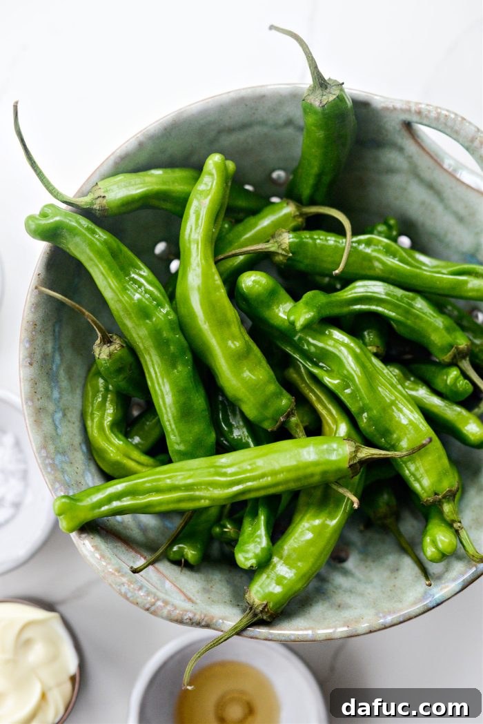 Fresh, vibrant green shishito peppers ready for cooking