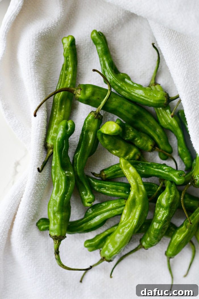 Towel drying shishito peppers to remove excess moisture