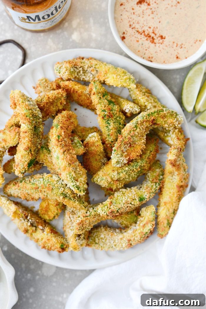 Air Fryer Avocado Fries with homemade Southwest Ranch