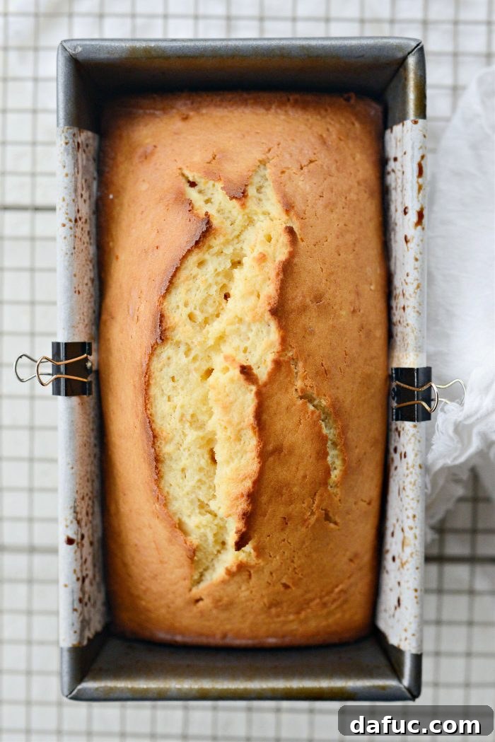 Creamy Grapefruit Zing Cake 14 Freshly baked Grapefruit Sour Cream Cake cooling in the loaf pan