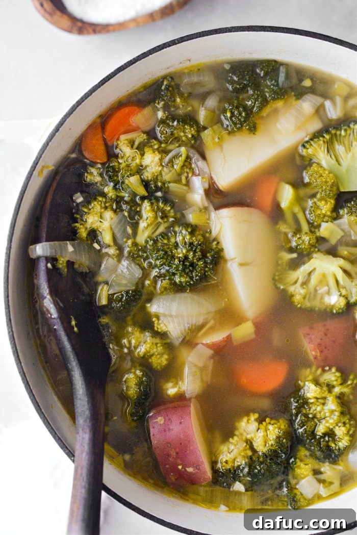 Hearty Irish Vegetable Soup 13 Tender cooked vegetables in broth after simmering for 20 minutes.