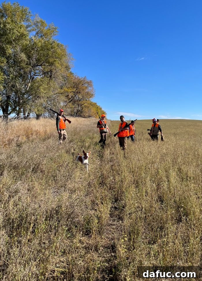 2023: A Retrospective Journey 26 Finn's South Dakota Adventure - Pheasant Hunting and Mishaps