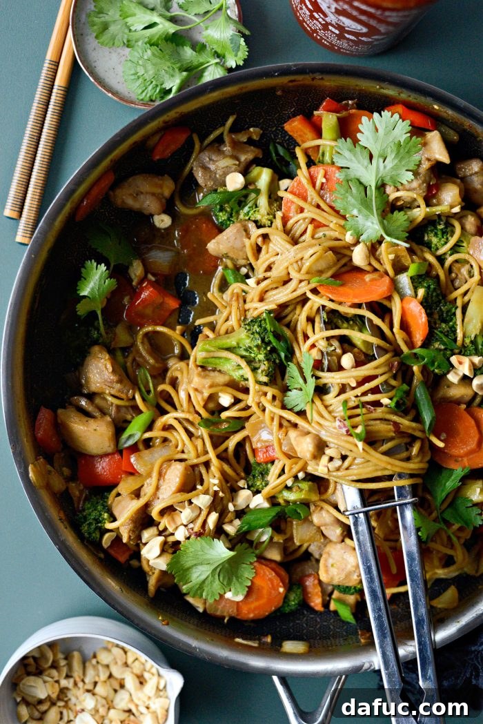 2023: A Retrospective Journey 6 Spicy Peanut Noodles with Chicken - Quick Weeknight Dinner