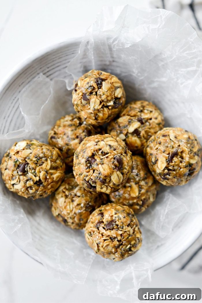 Oatmeal Chocolate Chip Bites