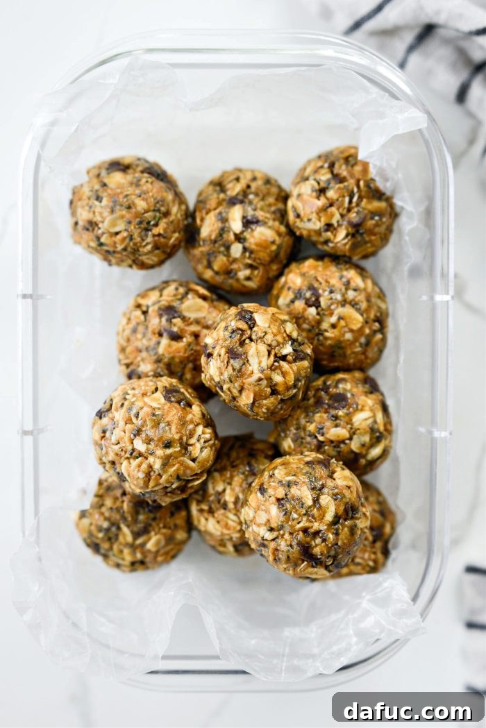 Oatmeal Chocolate Chip Bites