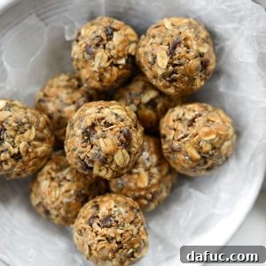 Oatmeal Chocolate Chip Bites