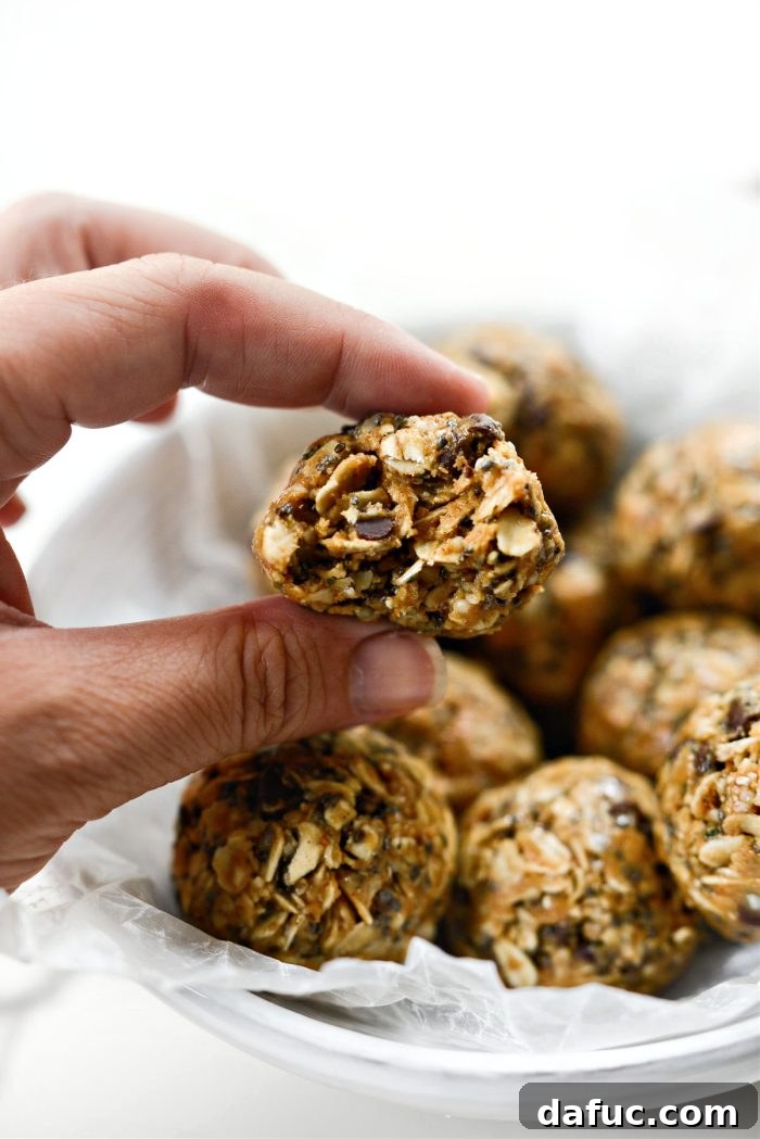 Oatmeal Chocolate Chip Bites