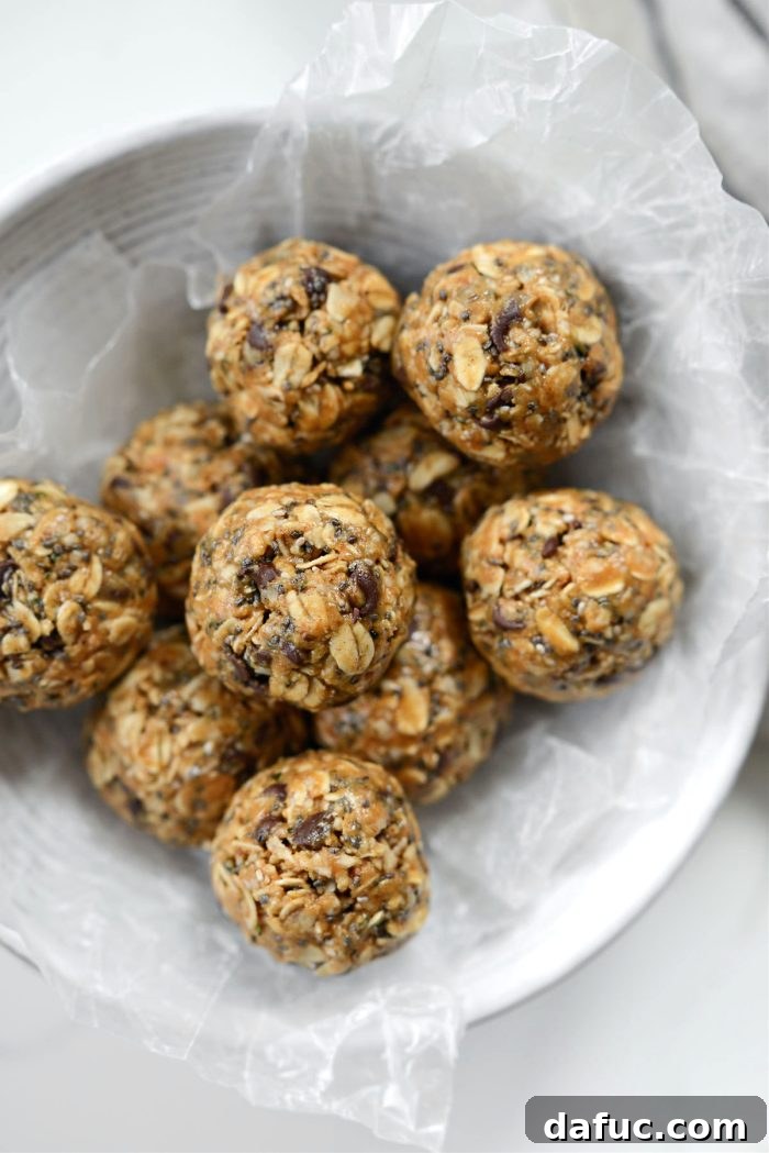 Oatmeal Chocolate Chip Bites