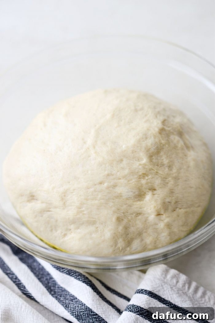 Fluffy Focaccia Pizza Dough Recipe 12 Focaccia dough impressively risen in a bowl, having doubled in size.