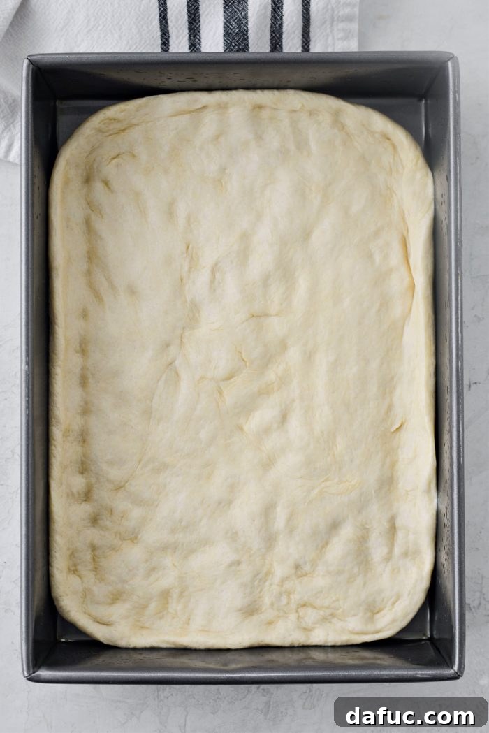 Fluffy Focaccia Pizza Dough Recipe 14 Focaccia dough placed into a well-oiled 9x13 inch baking pan.