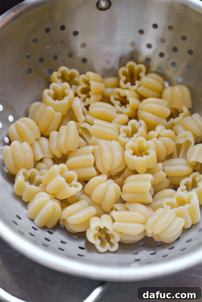 Golden Autumn Pumpkin Minestrone 13 Cooked pasta ready to be added to soup