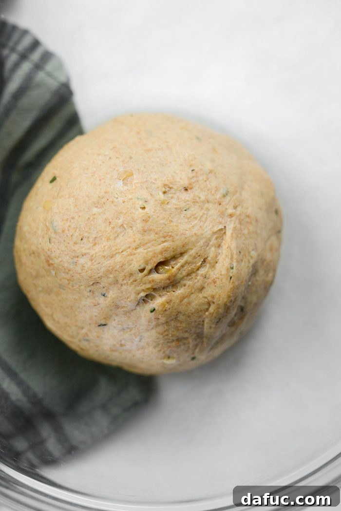 Fragrant Rosemary and Sweet Caramelized Onion Whole Wheat Rolls 16 shape into a ball and place in a greased bowl