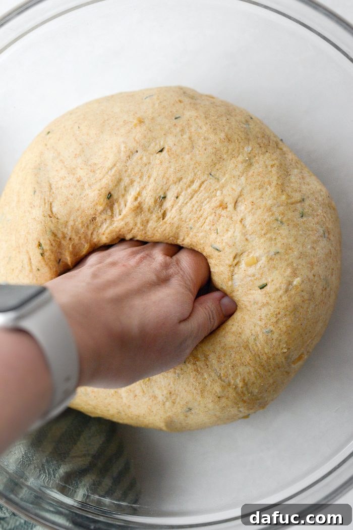 Fragrant Rosemary and Sweet Caramelized Onion Whole Wheat Rolls 20 deflate dough by punching/pressing out the air