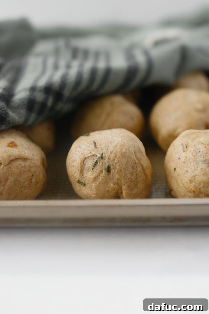 Fragrant Rosemary and Sweet Caramelized Onion Whole Wheat Rolls 24 cover and let rest for 45 minutes