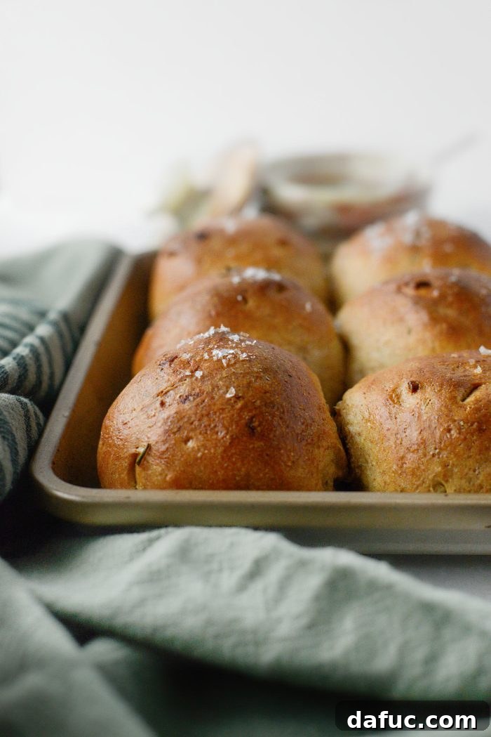 Fragrant Rosemary and Sweet Caramelized Onion Whole Wheat Rolls 28 Whole Wheat Caramelized Onions and Rosemary Rolls