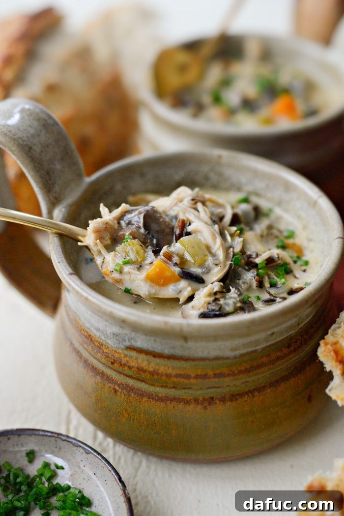 Turkey Mushroom Wild Rice Soup