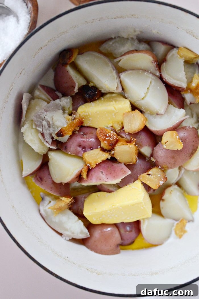 Velvet Garlic Potatoes 10 Drained potatoes in a pot, with butter, half and half, and roasted garlic added
