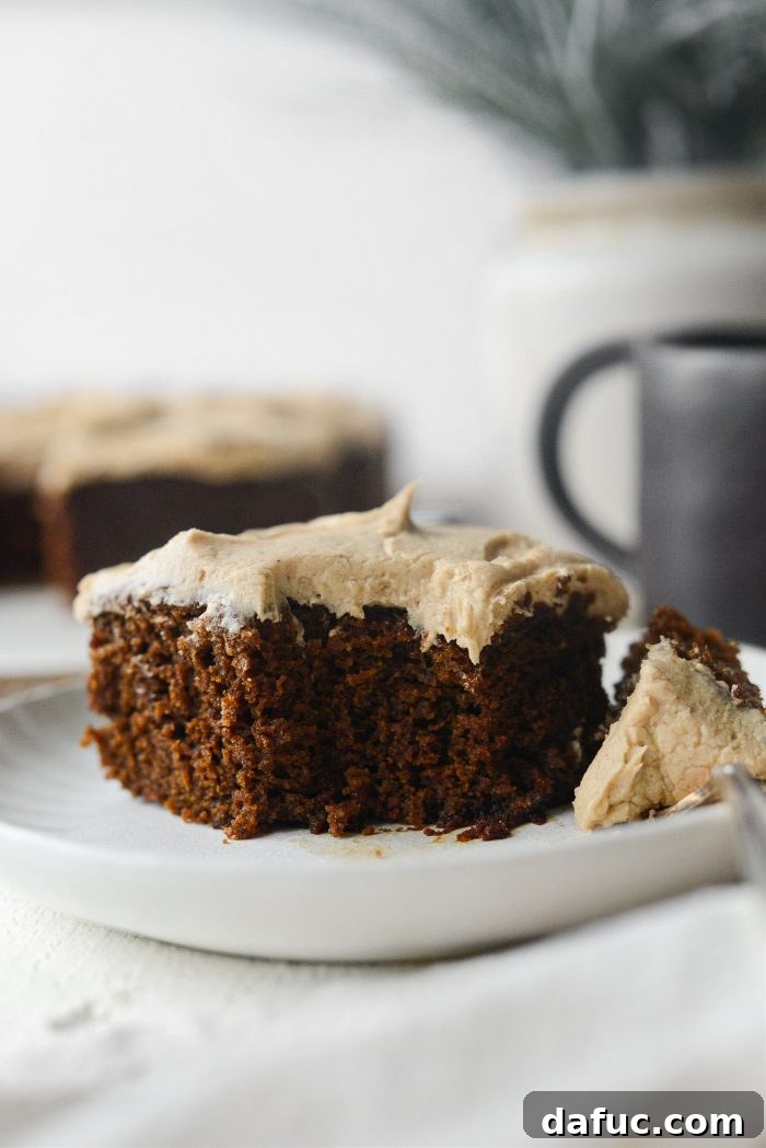 Another beautiful shot of the Gingerbread Cake