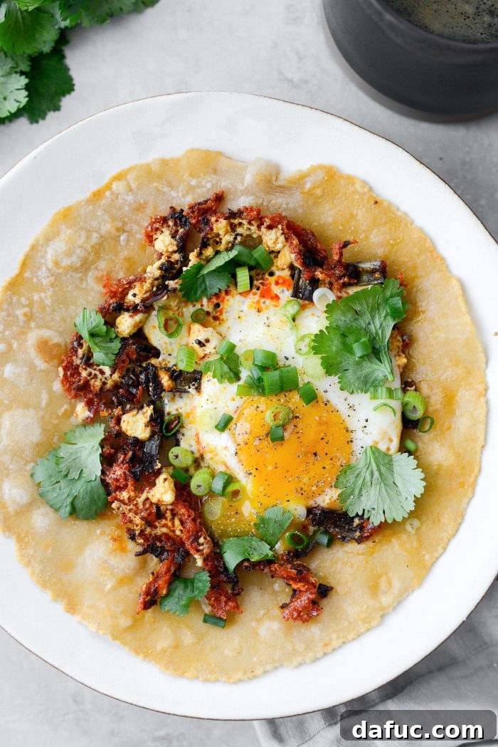 Three Delicious Feta Fried Egg Ideas 12 Chili Crisp Feta Fried Egg on a Toasted Tortilla with Green Onions and Cilantro