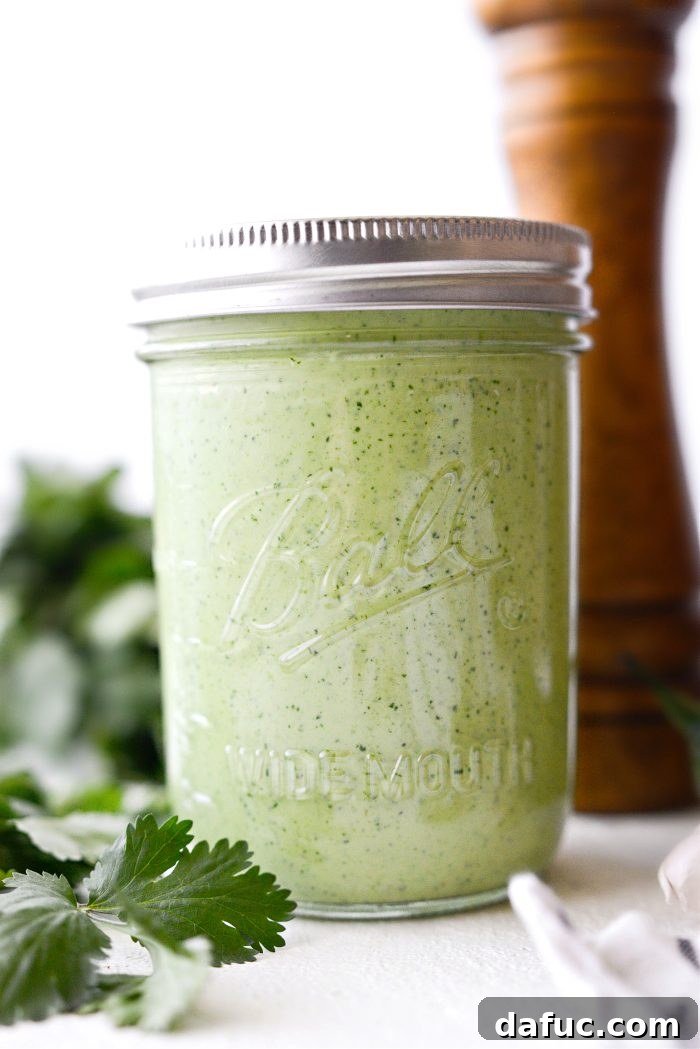 Bright Cilantro Ranch 11 A beautifully composed shot of Cilantro Ranch Dressing in a glass jar, surrounded by fresh ingredients like cilantro and limes.