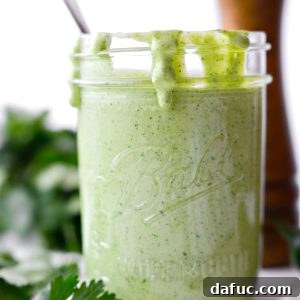 Bright Cilantro Ranch 12 Cilantro Ranch Dressing
