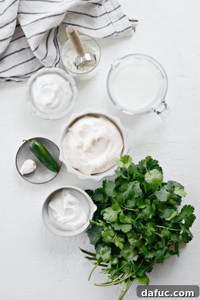 Bright Cilantro Ranch 4 Assortment of fresh ingredients for Cilantro Ranch Dressing including buttermilk, mayonnaise, sour cream, Greek yogurt, cilantro, garlic, and jalapeño.