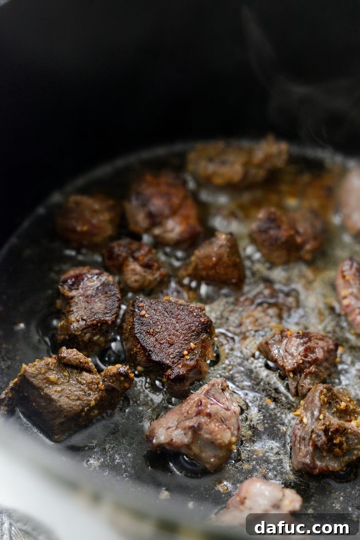 Hunter's Hearty Venison Pot 10 seared venison