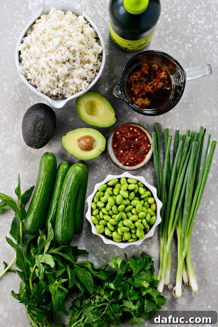 Zesty Crisped Rice Medley 4 Ingredients laid out for Crispy Rice Salad preparation