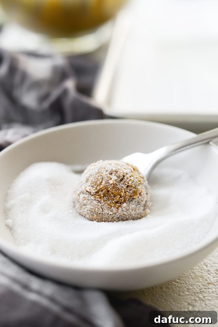 Zesty Orange Cardamom Cookies 18 Cookie dough balls coated in granulated sugar