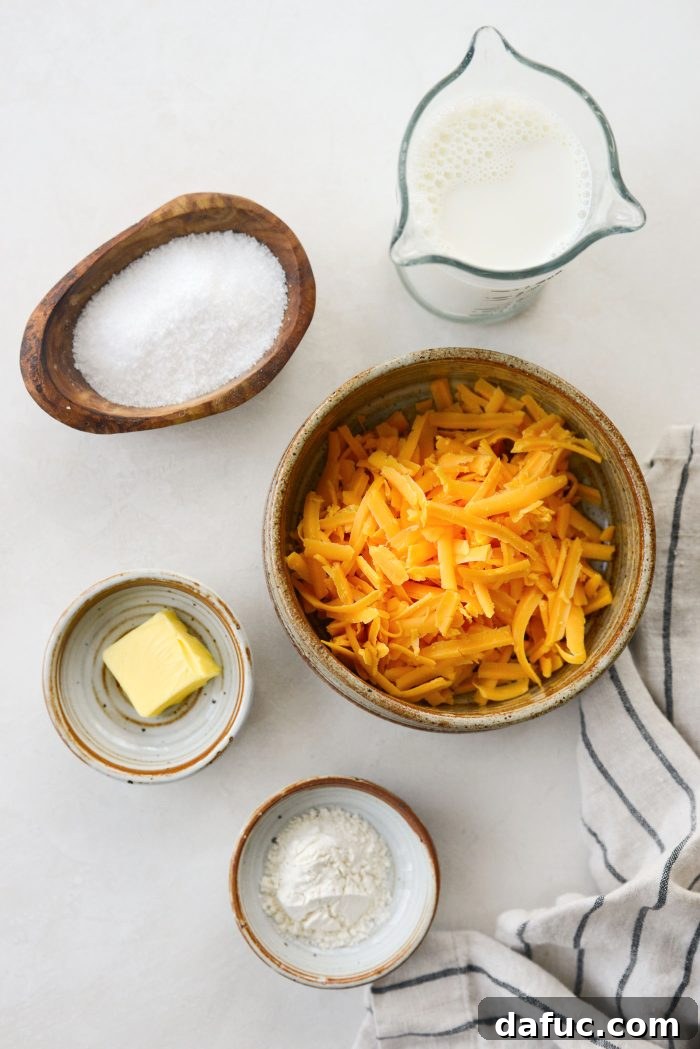 Ingredients for cheddar cheese dip