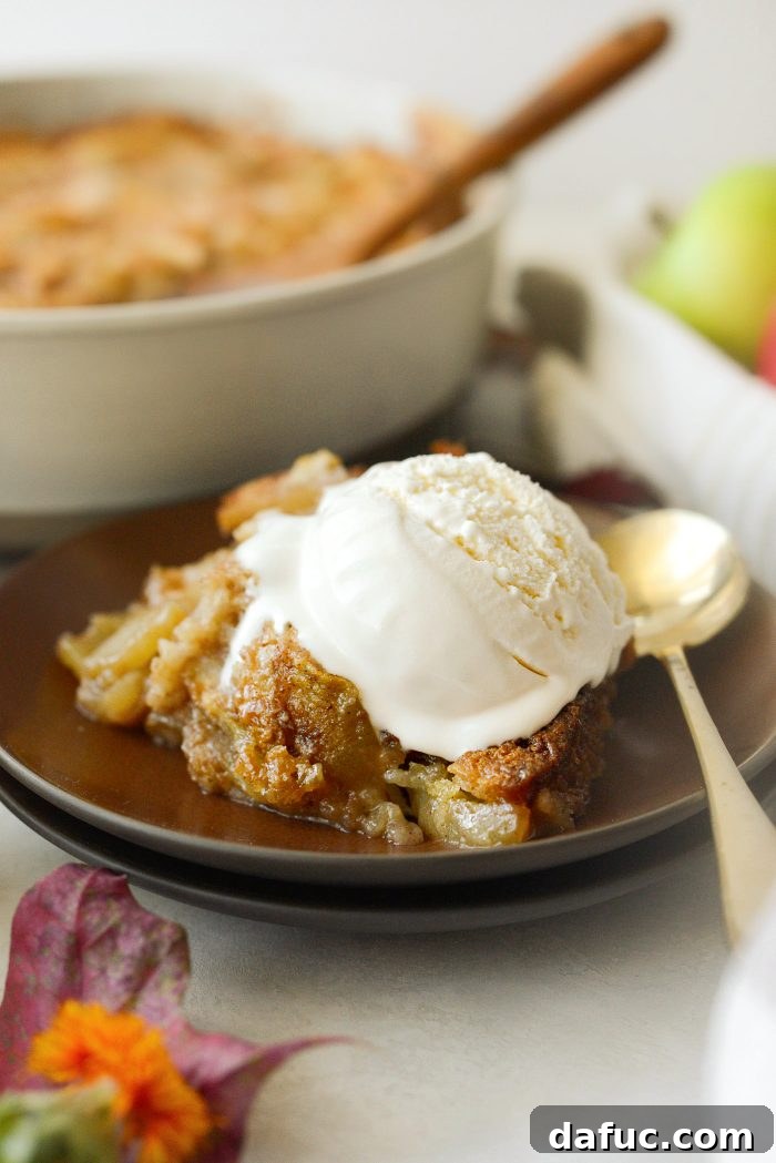 Homemade Apple Cobbler Delight 16 Scoop of Apple Cobbler with ice cream