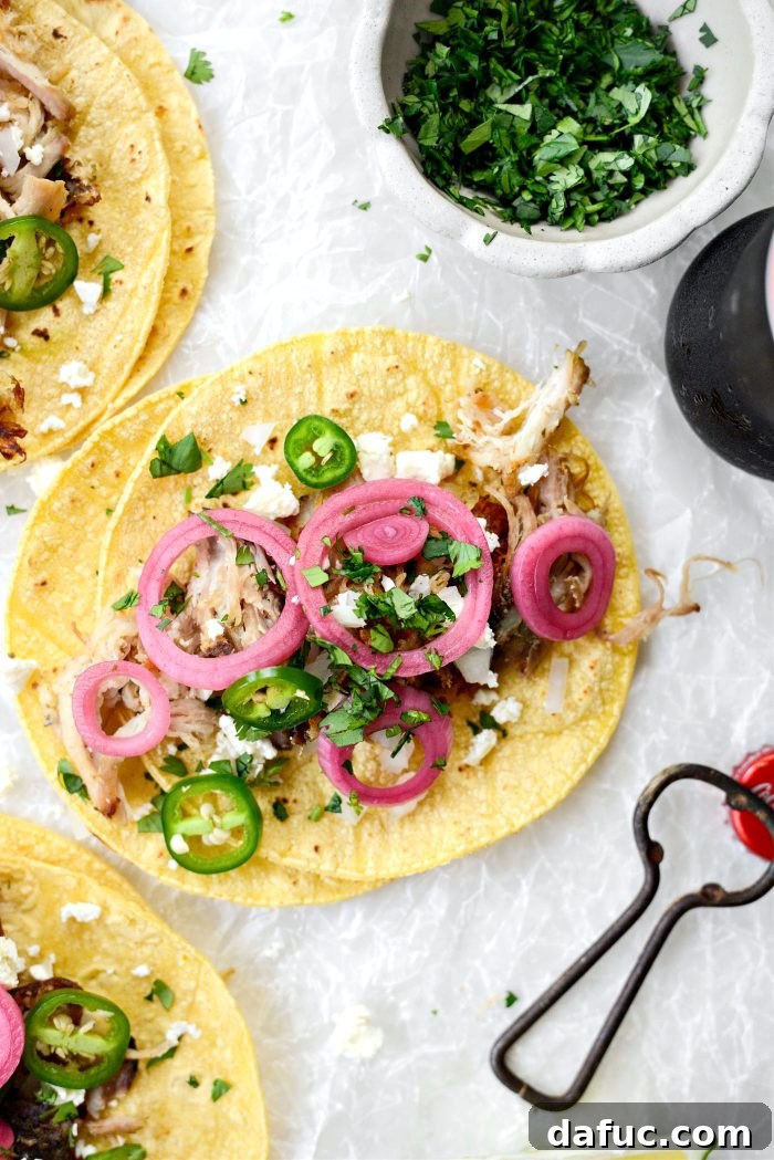 2024 Unpacked 10 Pork Carnitas Tacos