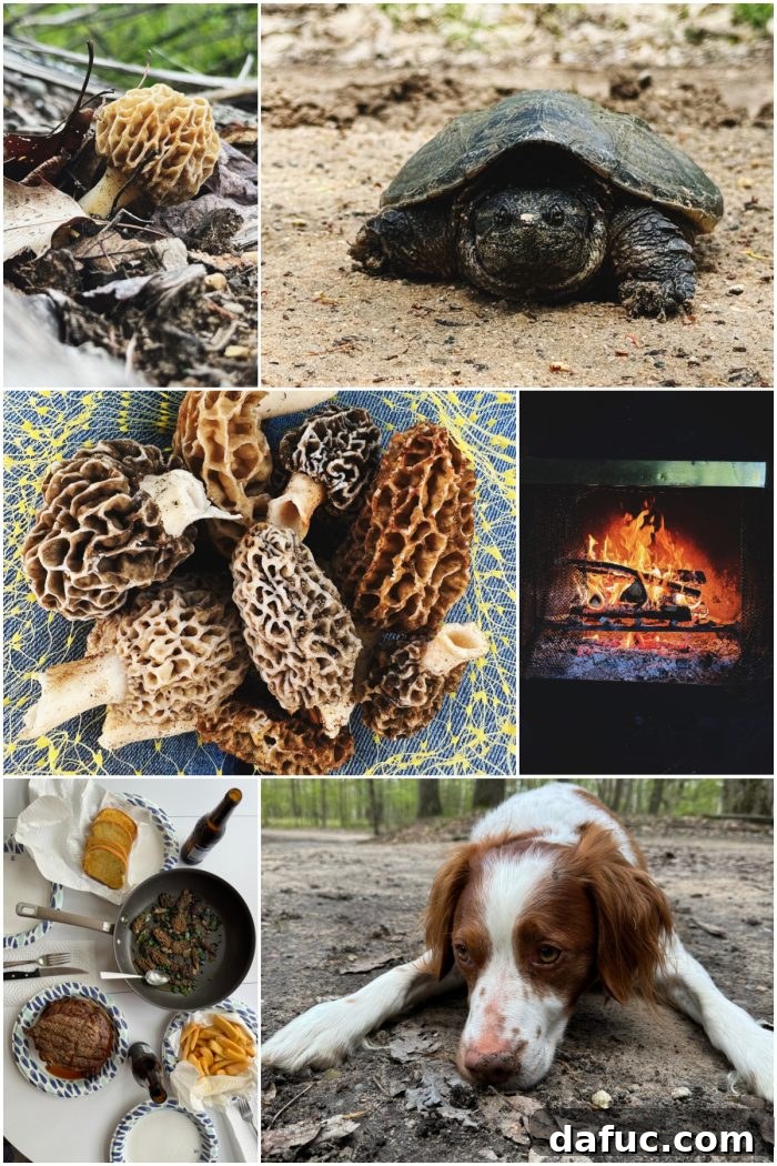 2024 Unpacked 16 2024 Year In Review - morel