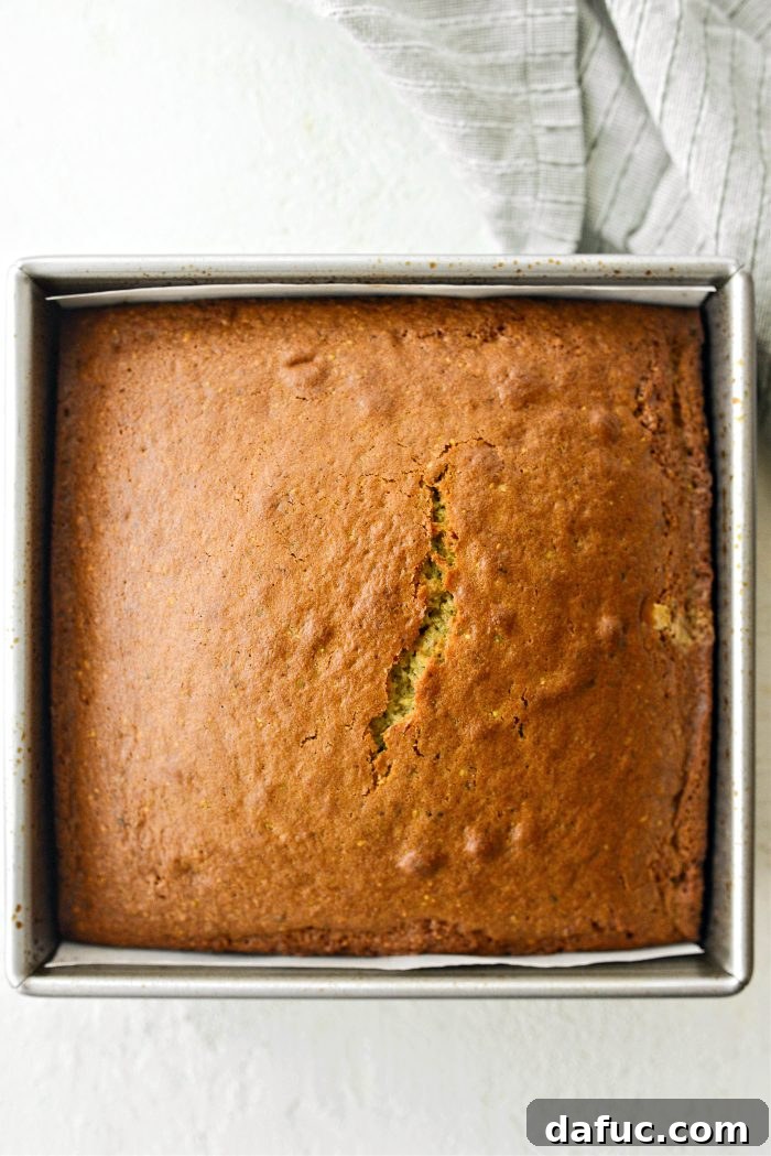 Freshly baked cake in the pan
