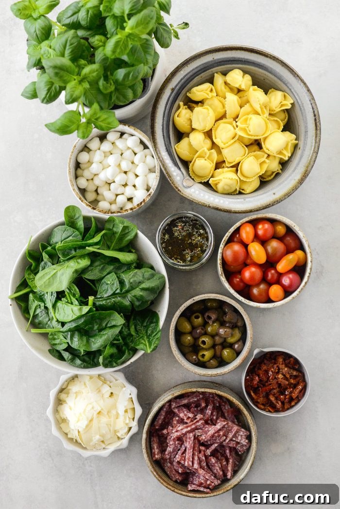Rustic Tuscan Tortellini Salad 4 Assortment of fresh ingredients for Tuscan Tortellini Pasta Salad