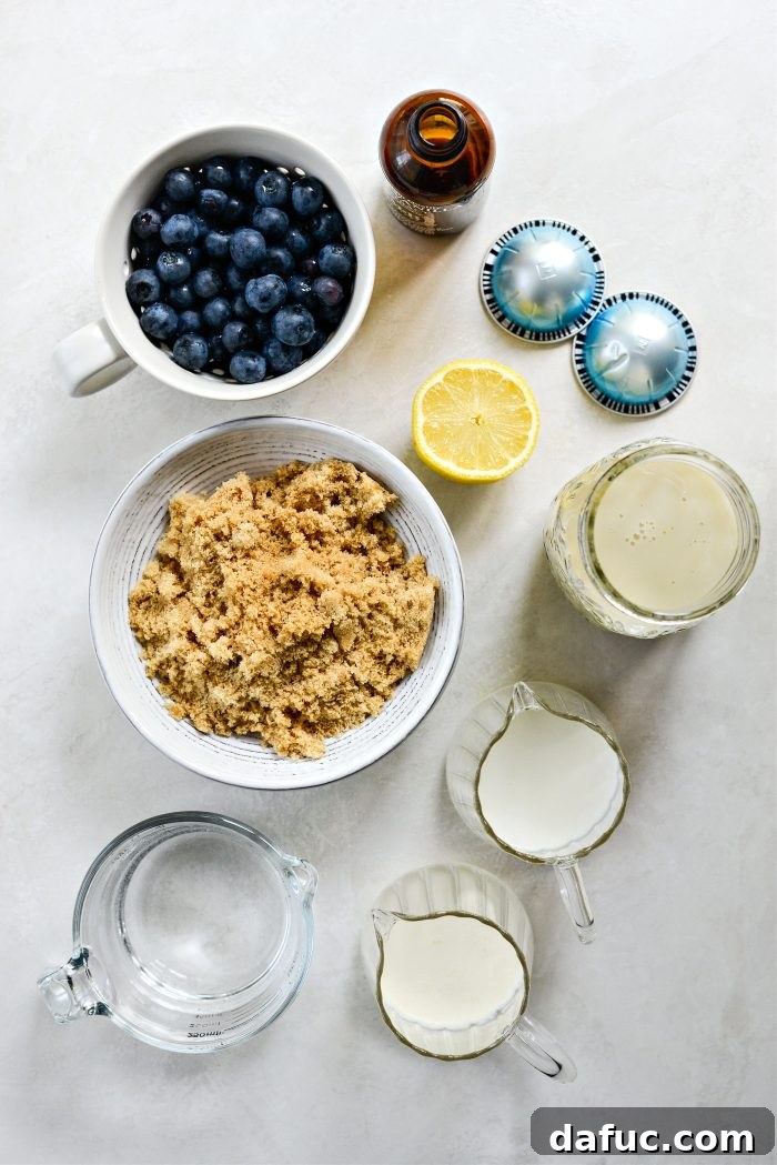 Ingredients for making Iced Blueberry Latte