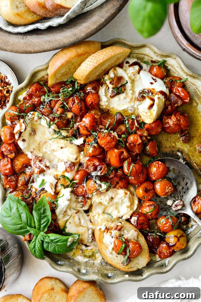 Sweet Blistered Tomatoes, Creamy Burrata, Crispy Pancetta 22 Final shot of Blistered Tomatoes with Burrata and Pancetta on a serving plate.