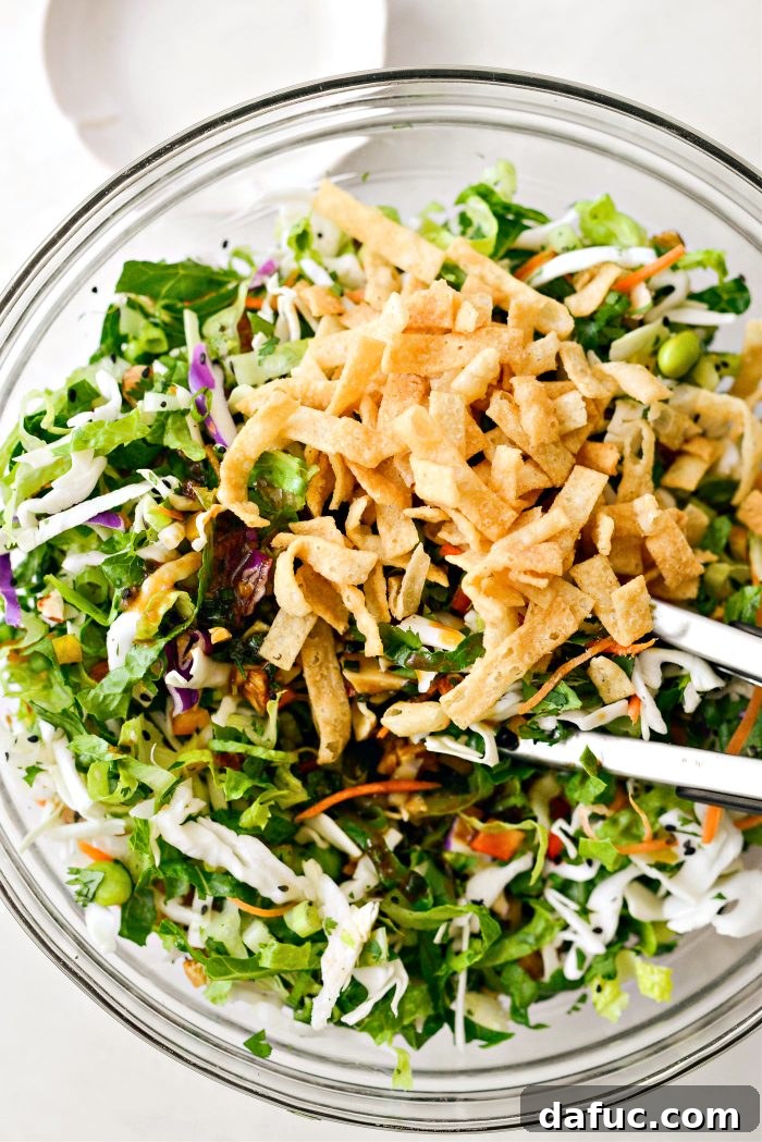 Tropical Teriyaki Salad 11 Adding crispy wonton strips to the teriyaki salad