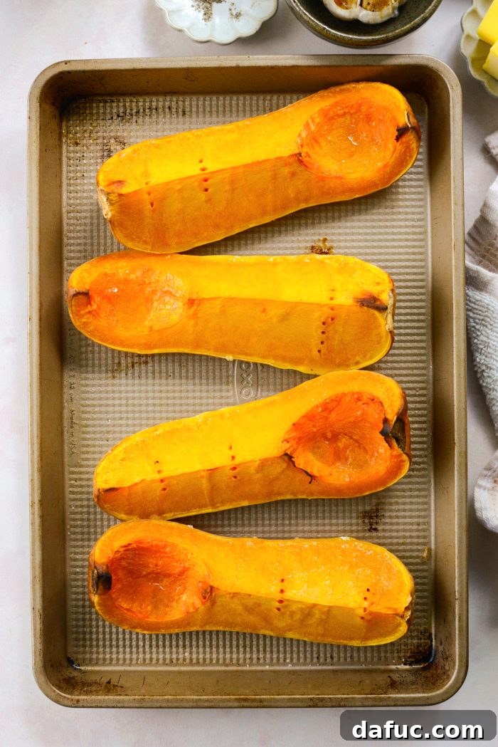 Roasted Garlic Golden Squash Whip 8 Tender roasted butternut squash cooling down