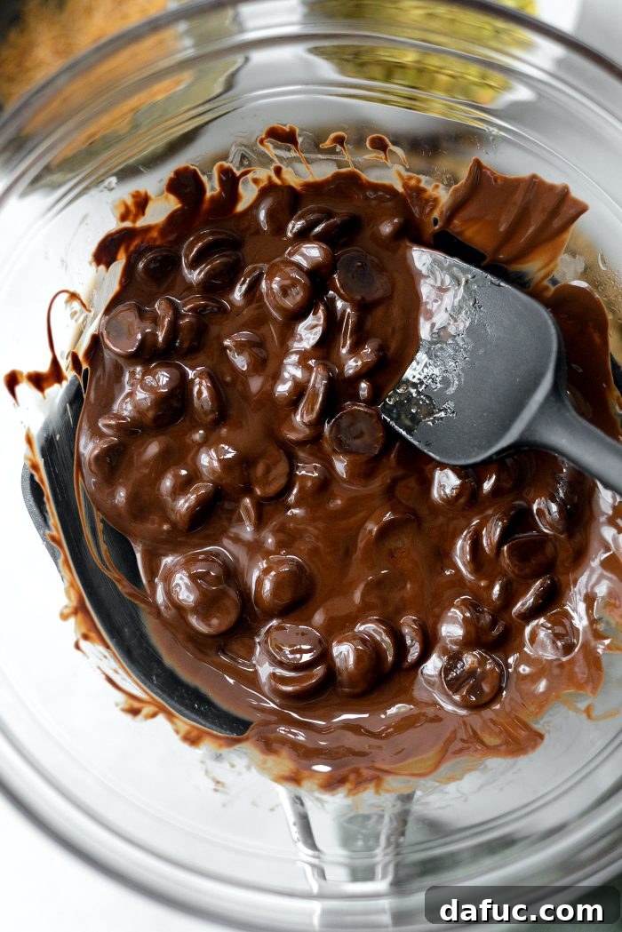 Chocolate and coconut oil melting over a double boiler