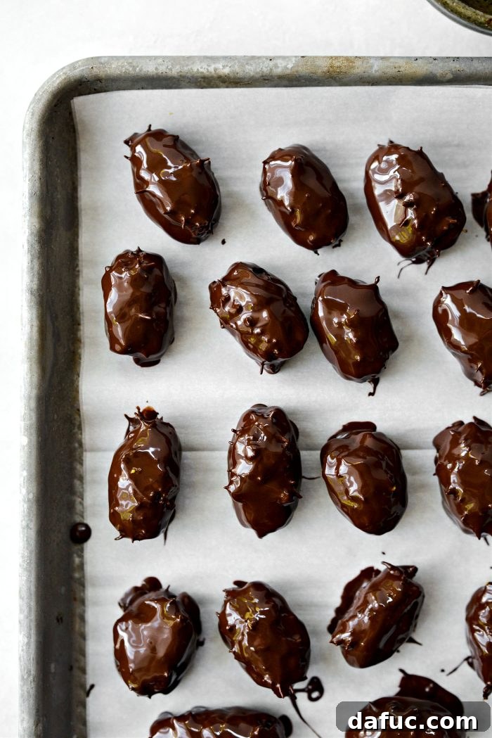 Chocolate coated Dubai Stuffed Dates arranged on a baking sheet