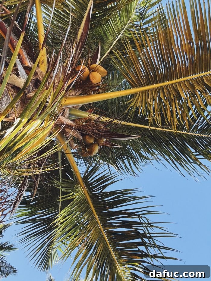 2025 Our Year Unpacked 2 2025: A Year In Review palm